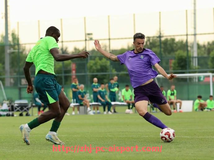 爱体育-收入大幅增长的德甲球队分析:原因与投资方向